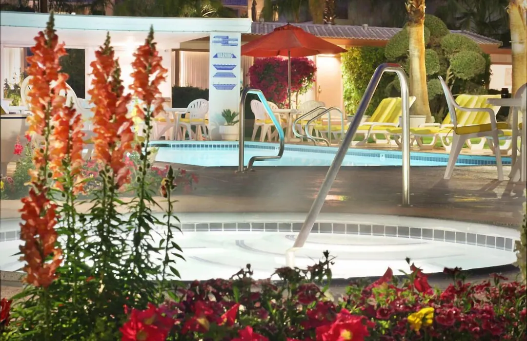 A Place In The Sun Hotel - Adults Only Big Units, 24H Heated Pool & Spa In 1 Acre Park Prime Location, Dog Friendly, Top Midcentury Modern Boutique Hotel-1