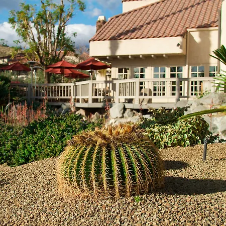 The Oasis Resort-2